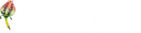 Buddinwriters Academy-logo in white